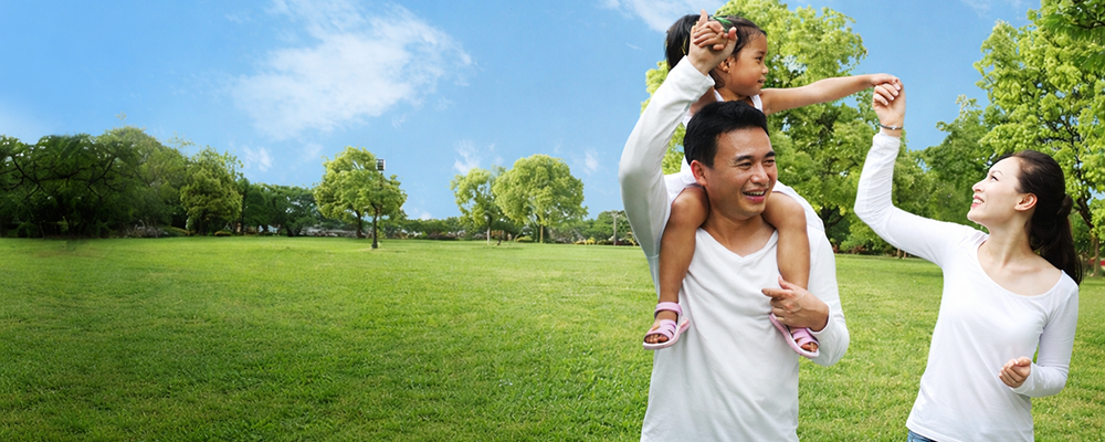 <br />
<b>Warning</b>:  Trying to access array offset on value of type bool in <b>/home/ns13wpsites/public_html/www-pathlab-com-mm/wp-content/themes/ns-pathlab/header.php</b> on line <b>364</b><br />
